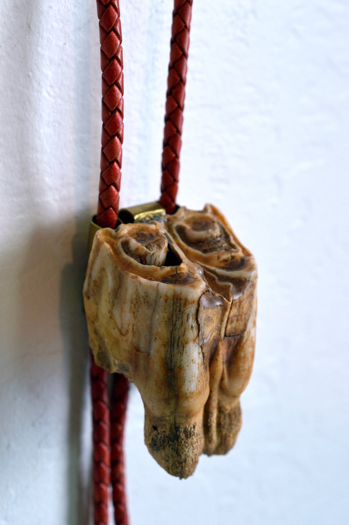 Bison Tooth Bolo 2