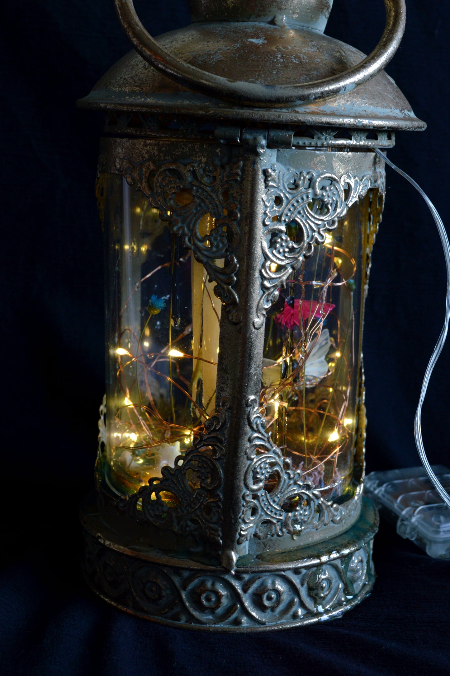 Not Your Gmama’s Terrarium