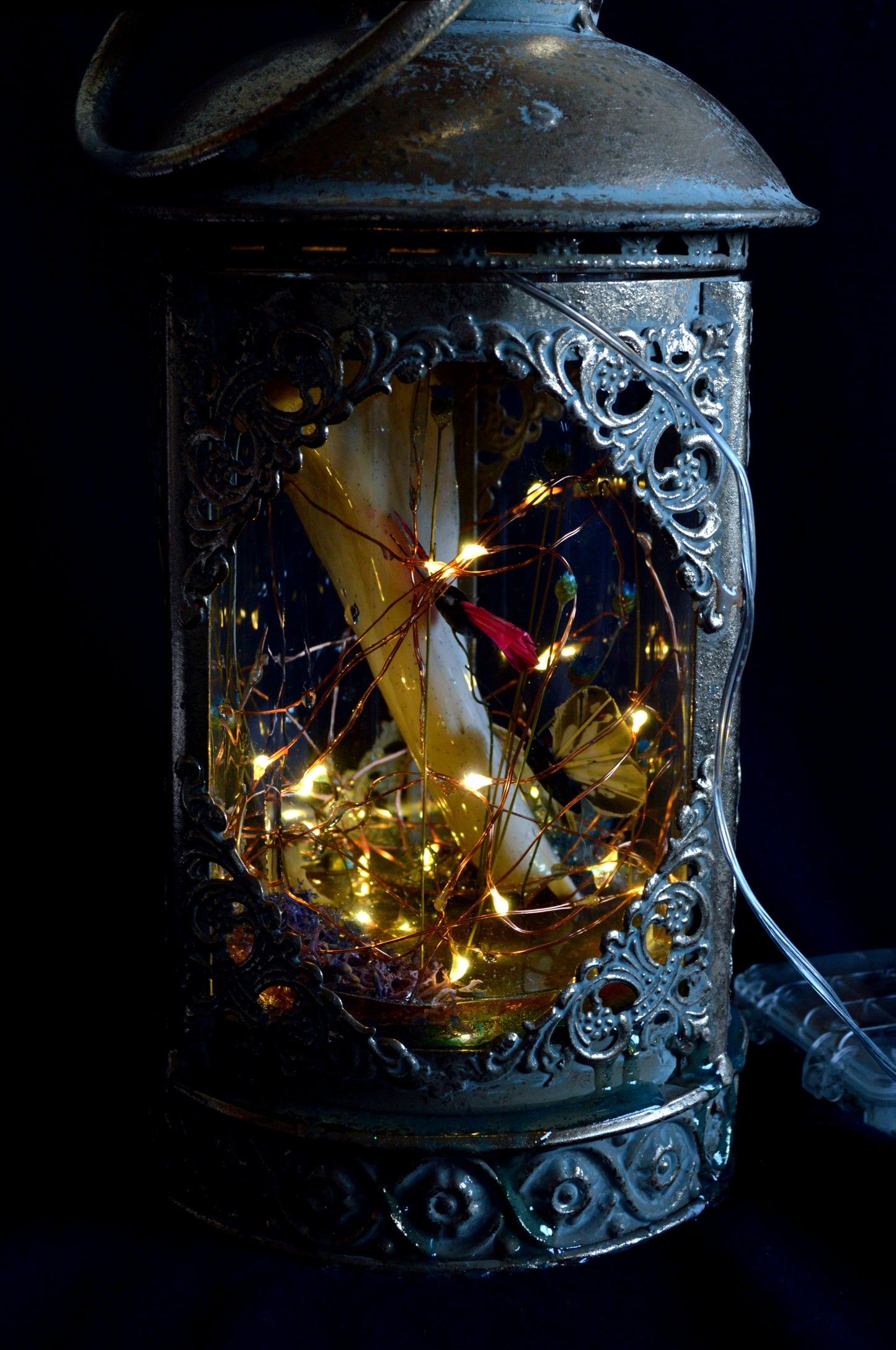 Not Your Gmama’s Terrarium