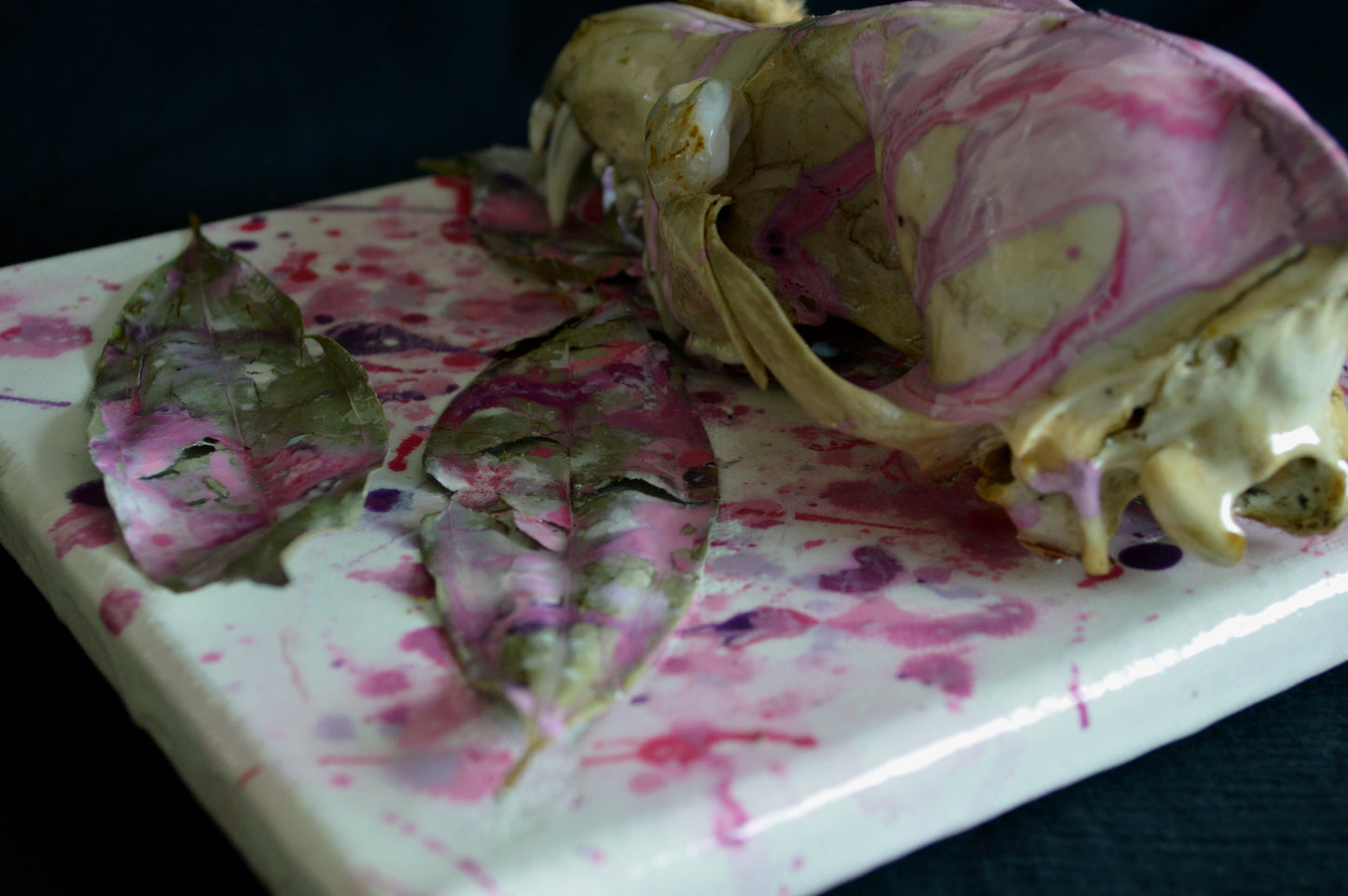 Yote Leaves
