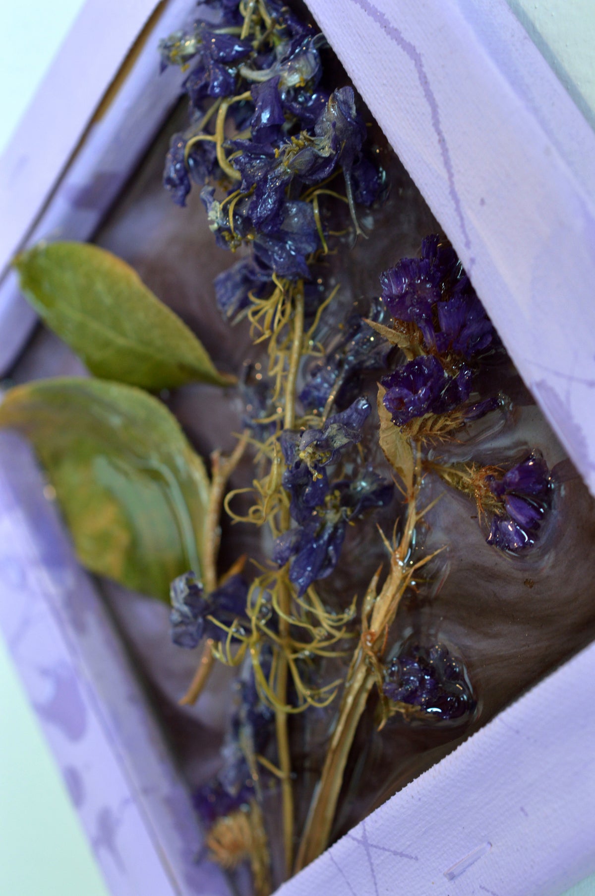 Purple Flowers 1