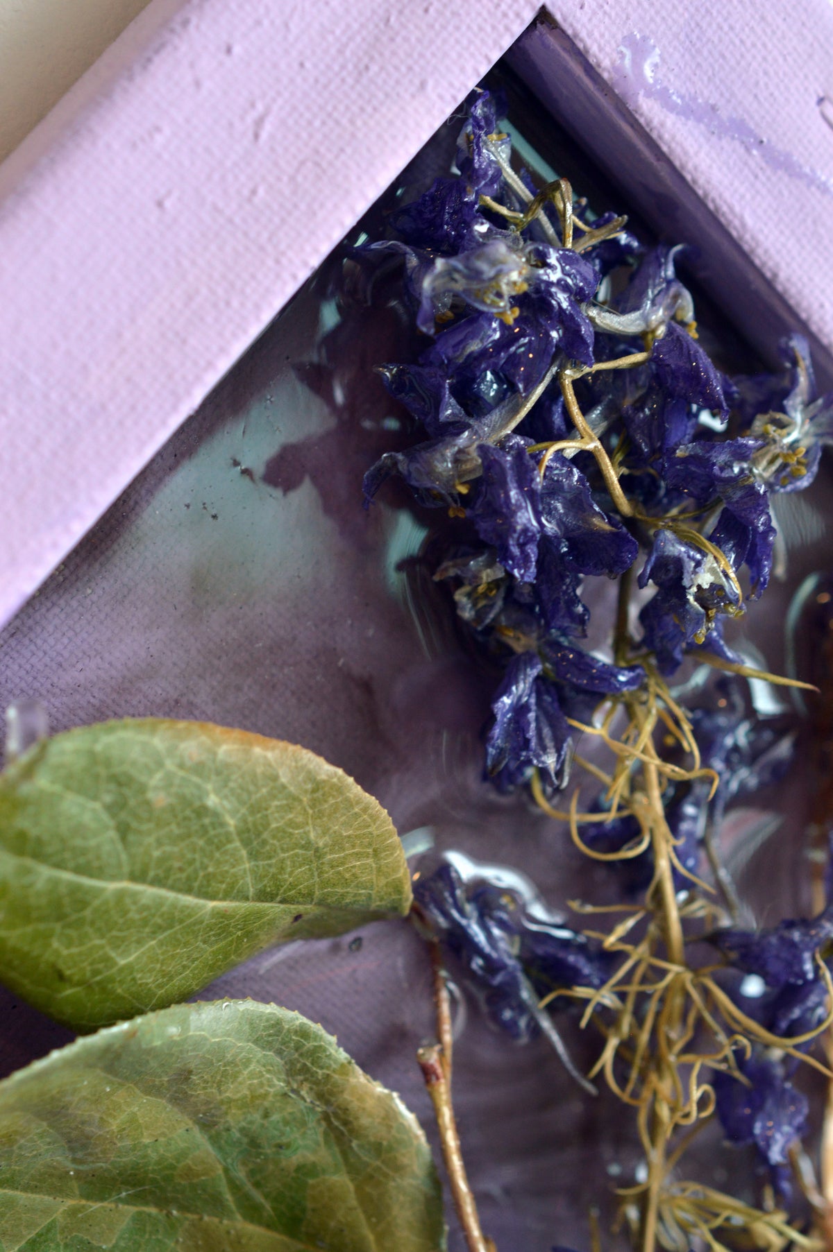 Purple Flowers 1