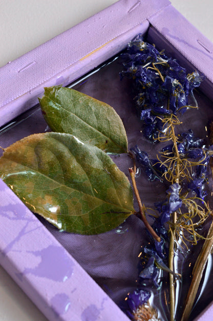 Purple Flowers 1