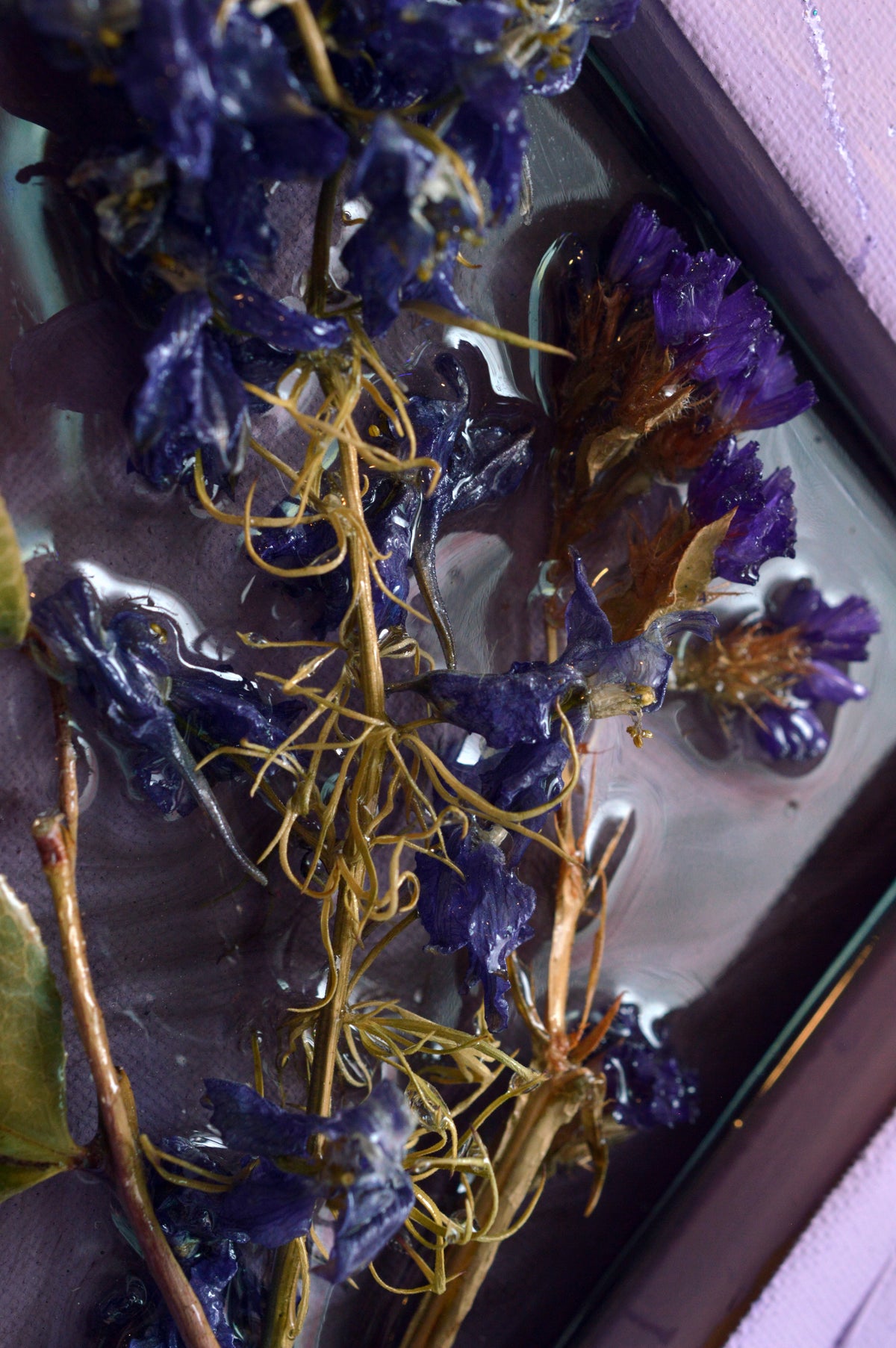 Purple Flowers 1