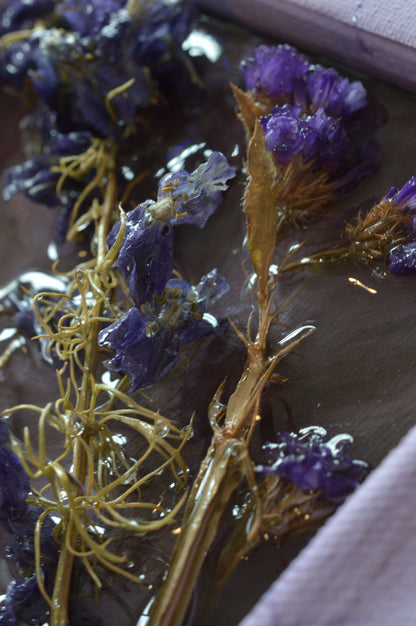 Purple Flowers 1