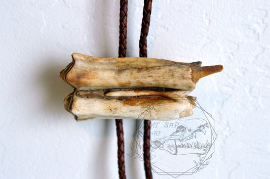 Bison Tooth Bolo 1