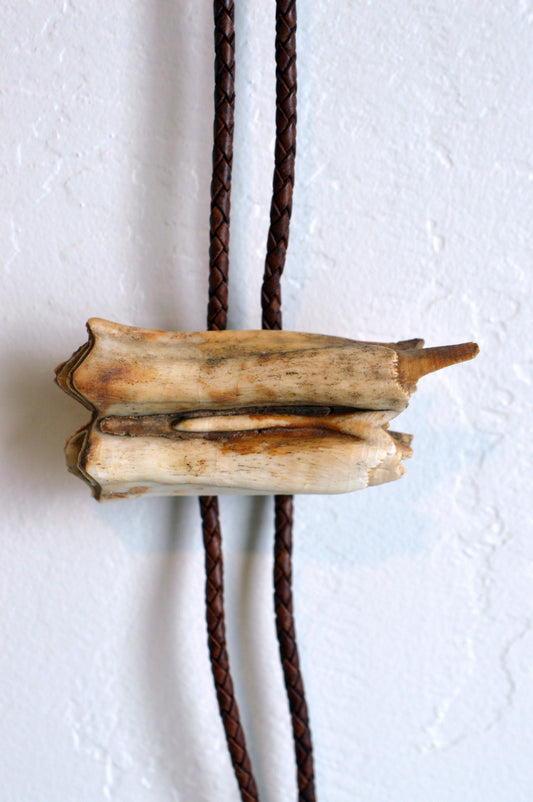 Bison Tooth Bolo 1