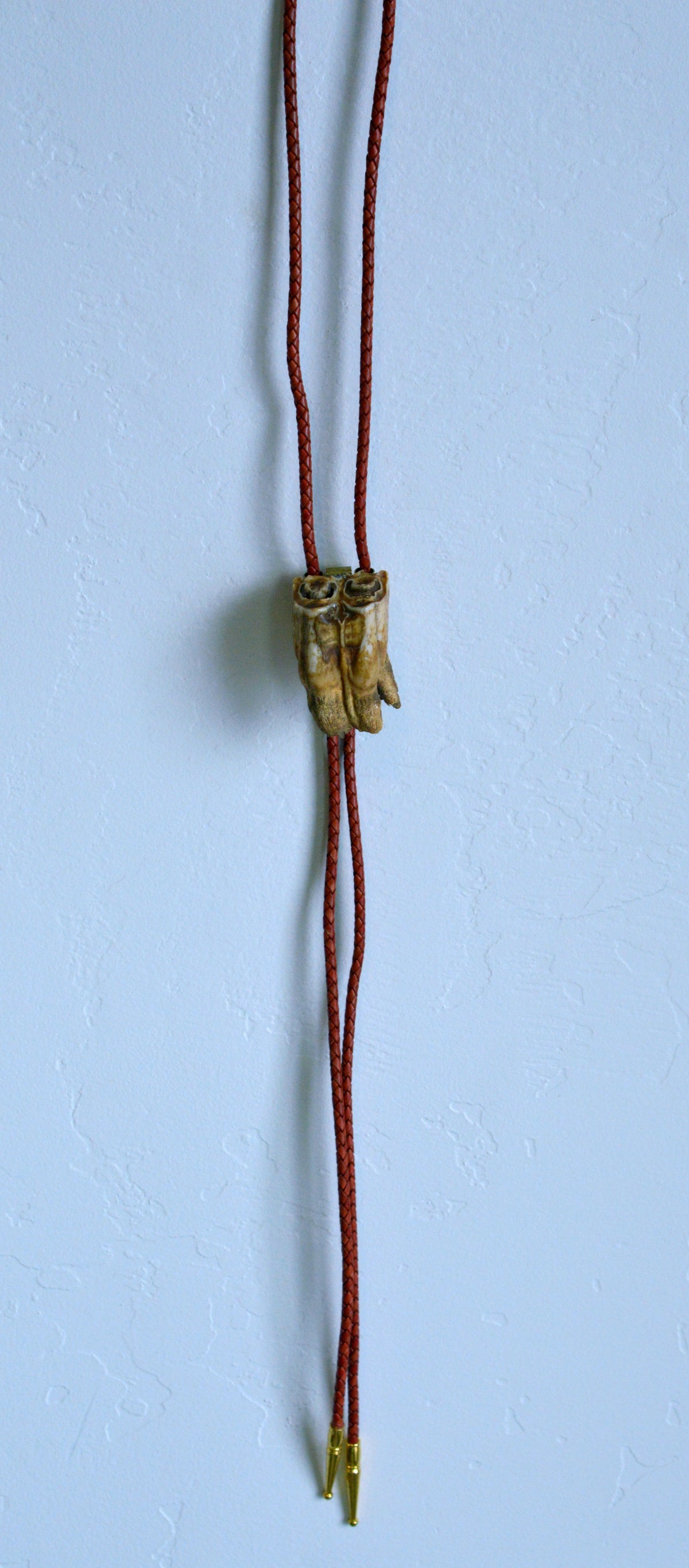 Bison Tooth Bolo 2