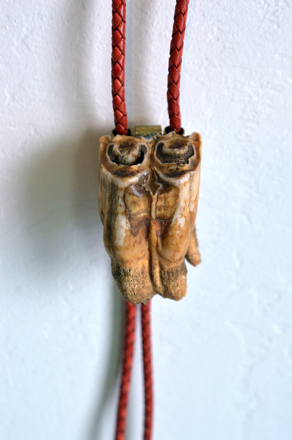 Bison Tooth Bolo 2