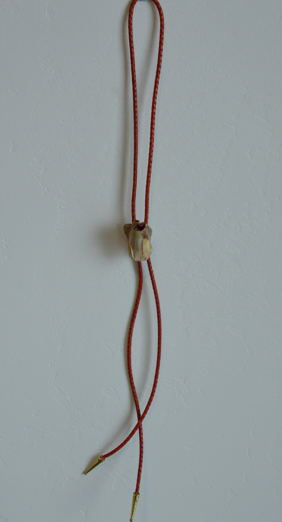 Rocky Bison Bolo