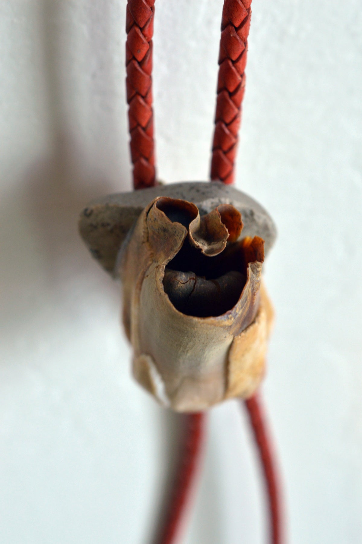 Rocky Bison Bolo