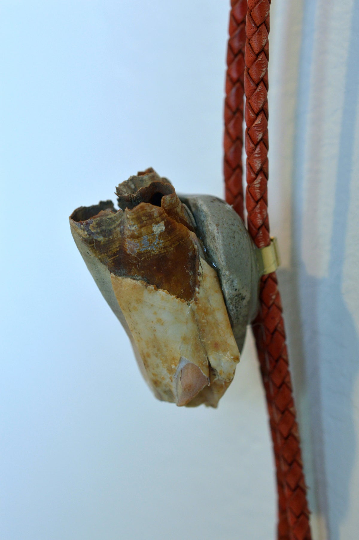 Rocky Bison Bolo