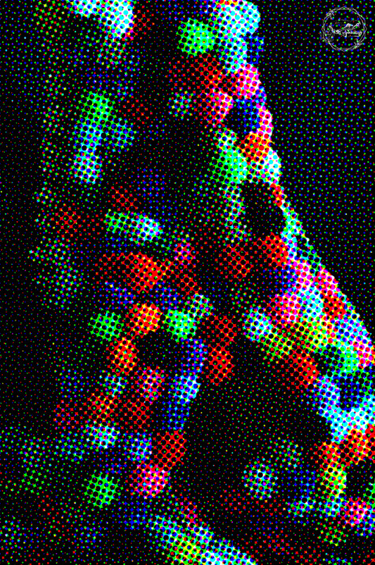 Wild Colors 2 Print