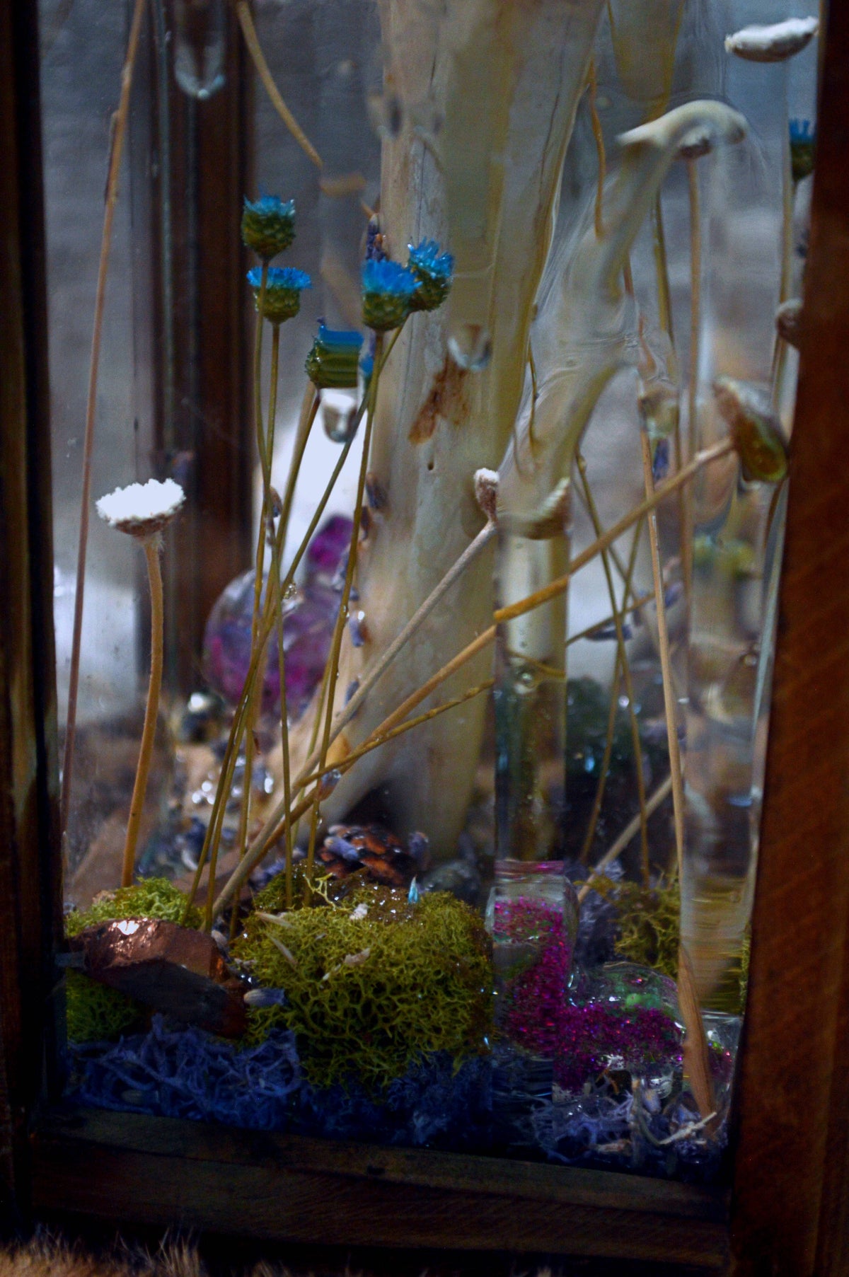 Purple Button Terrarium