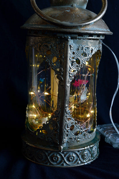 Not Your Gmama’s Terrarium
