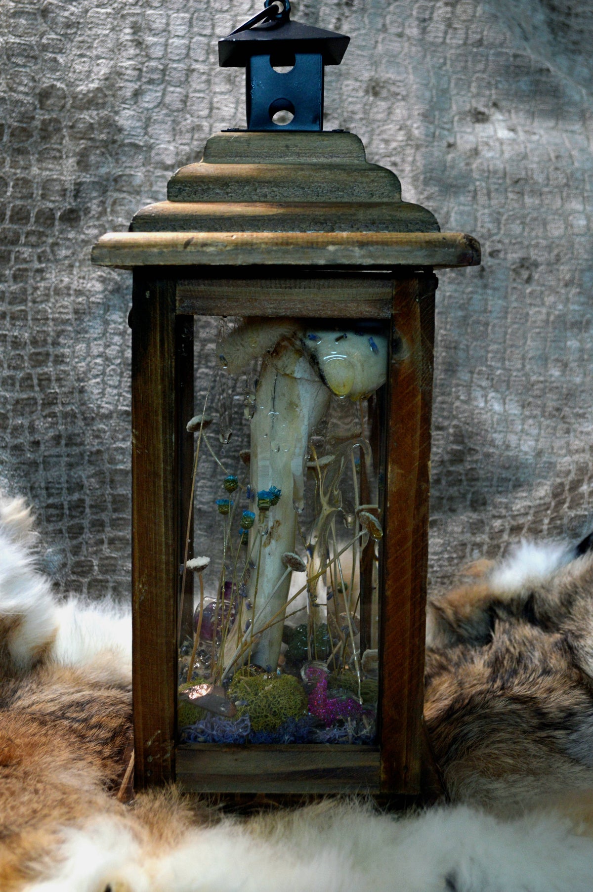 Purple Button Terrarium